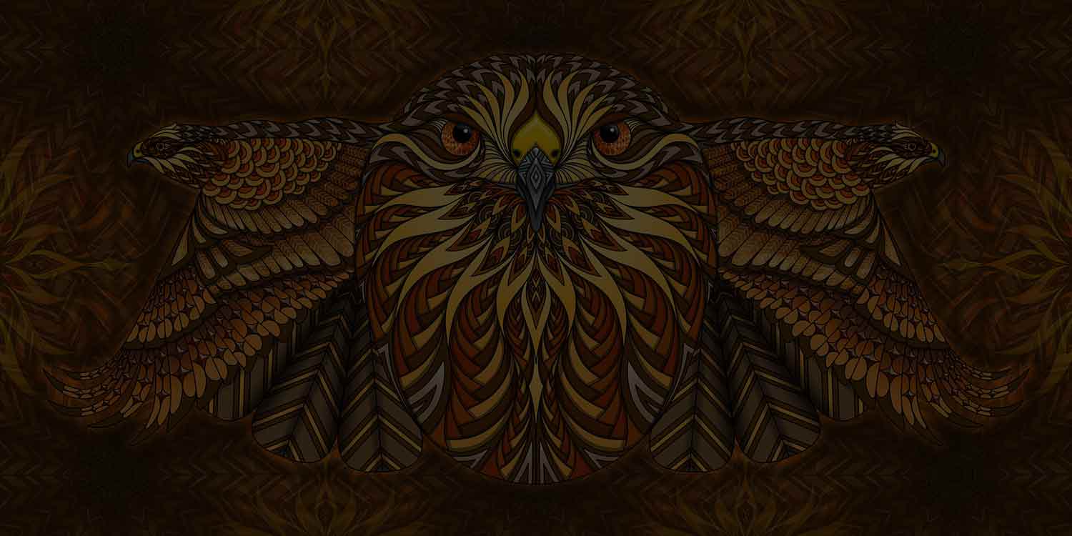 Red Tailed Hawk – Phil Lewis Art