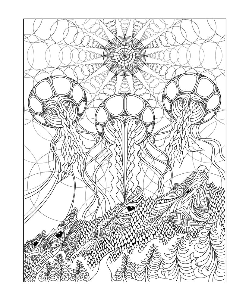 Coloring Book - 4th Edition