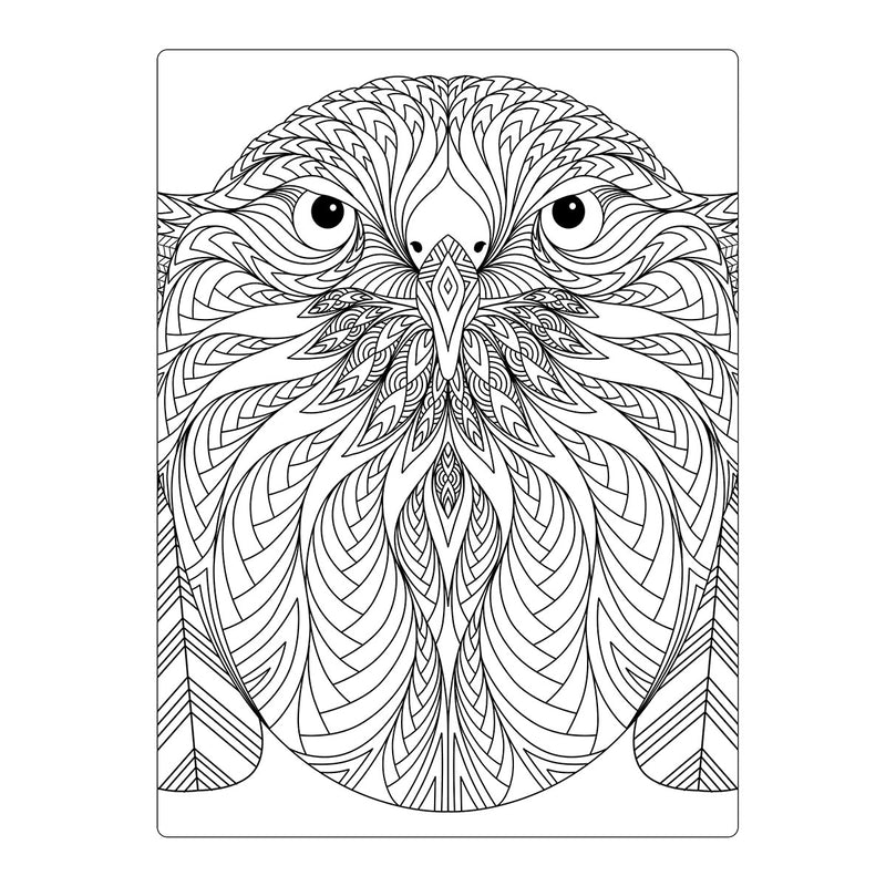 Coloring Book - 5th Edition