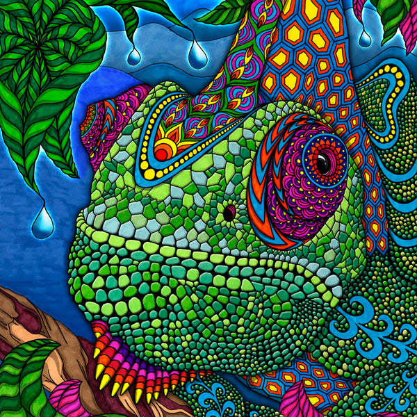 chameleon_600x600_crop_center.