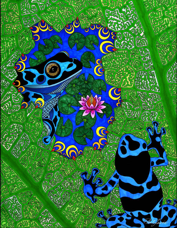 Frog Pond - Print (Retail 11x14)