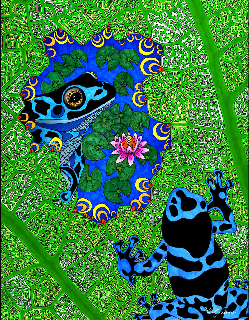 Frog Pond - Canvas Print