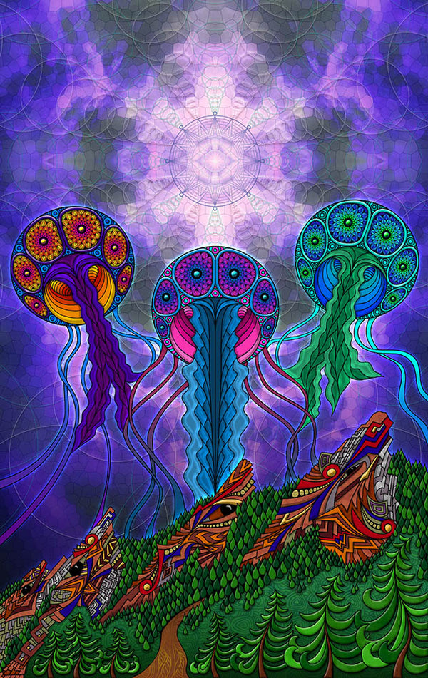 Jellyfish Nimbus - Canvas Print