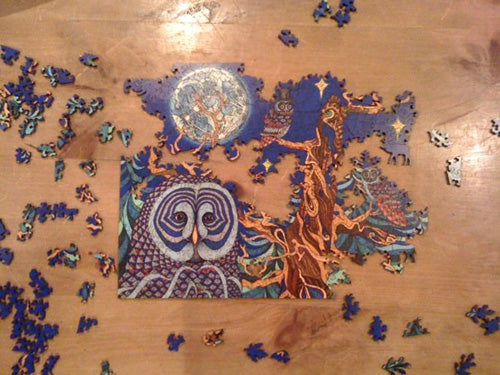 The Night Owls Puzzle