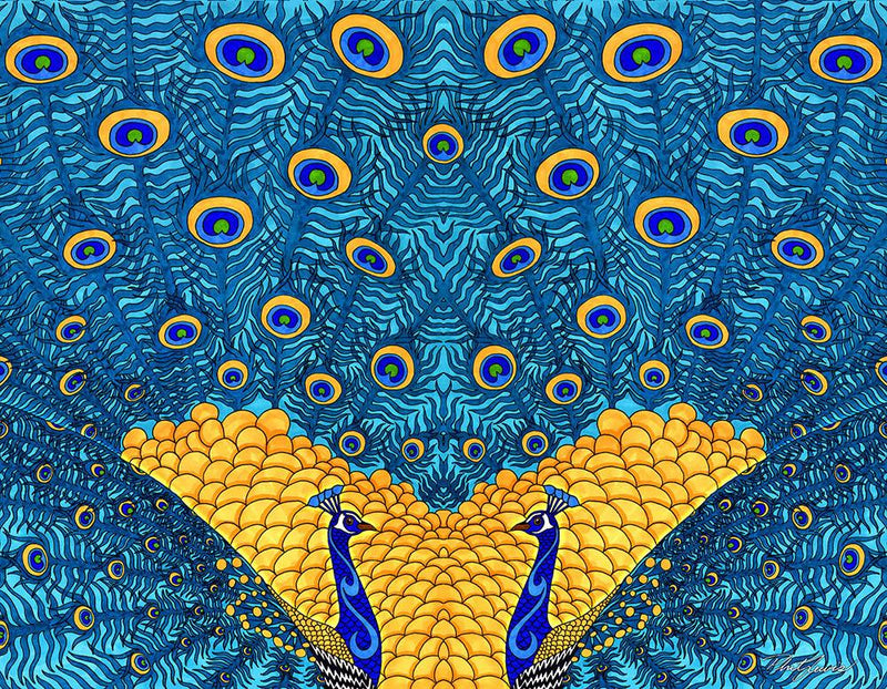 Peacocks - Print (Retail 11x14)