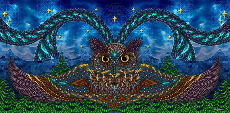 Owl Eyes - Canvas Print